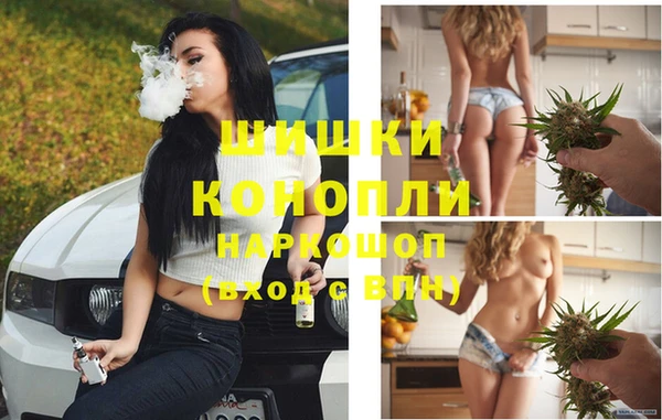 прущие крисы Беломорск