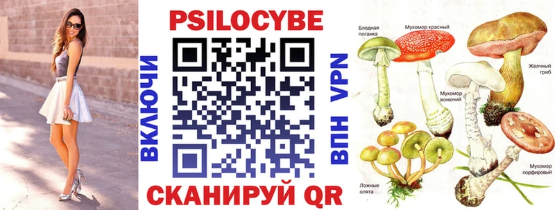 Псилоцибиновые грибы Psilocybe  Купить закладки  Уварово 